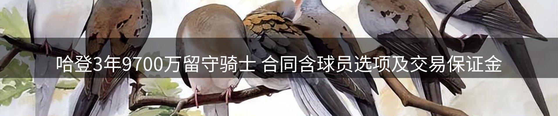 qy球友会要闻