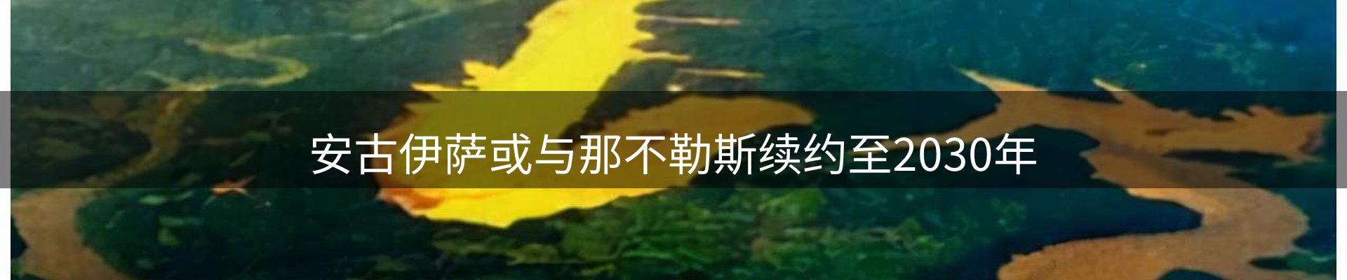 qy球友会要闻