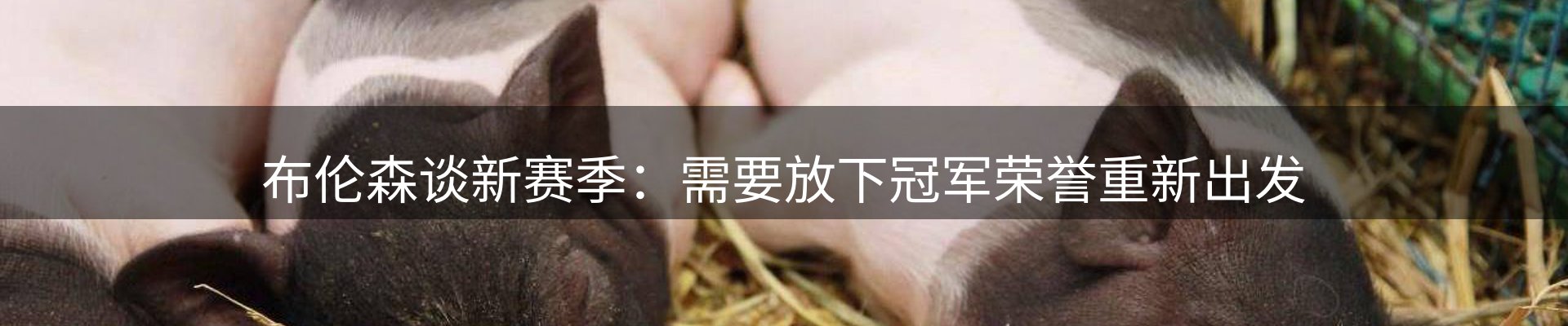 焦点跟踪