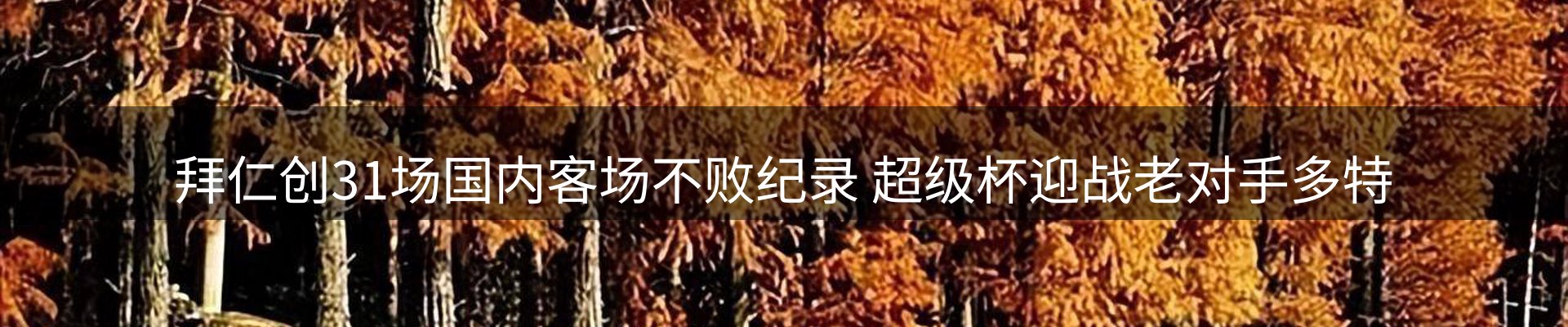qy球友会要闻