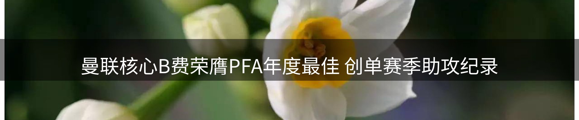 焦点跟踪